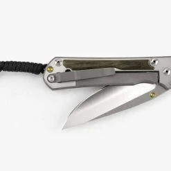 CHRIS REEVE KNIVES Chris Reeves Large Sebenza 31 Bog Oak