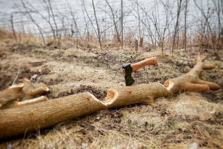 Hults Bruk Jonaker Hatchet (Sweden) Axes & Hatchets 5 Hults Bruk Jonaker Hatchet (Sweden) Axes & Hatchets