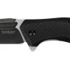 Kershaw Knives Kershaw 3935 Flourish Assisted Blade 3.5"