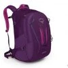 OSPREY PACKS Backpacks Osprey CELESTE Women's Urban Or Trail Day Pack