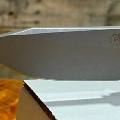 Rick Hinderer Jurassic Flipper 3.5